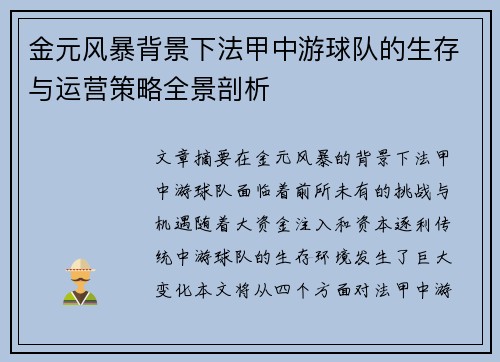 金元风暴背景下法甲中游球队的生存与运营策略全景剖析