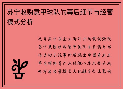 苏宁收购意甲球队的幕后细节与经营模式分析