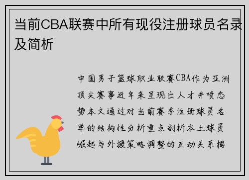 当前CBA联赛中所有现役注册球员名录及简析