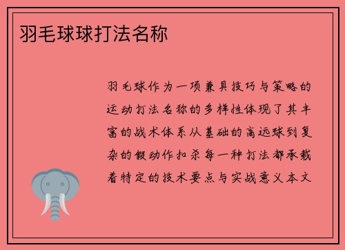 羽毛球球打法名称