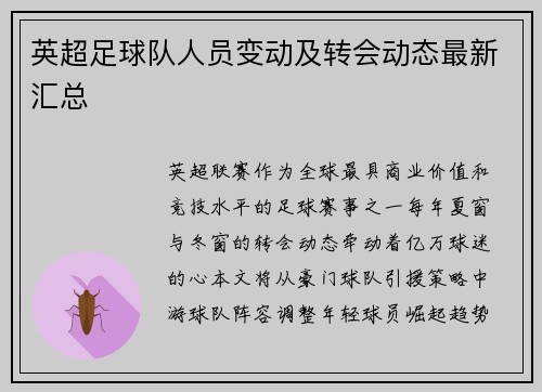 英超足球队人员变动及转会动态最新汇总